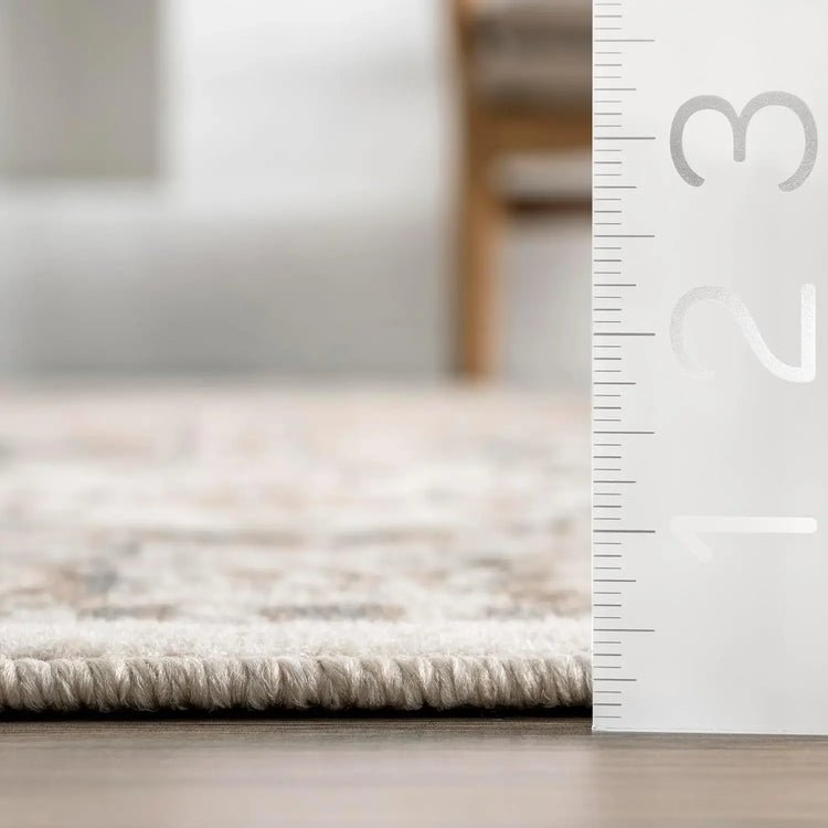 Becca Traditional 9x12 Beige Area Rug