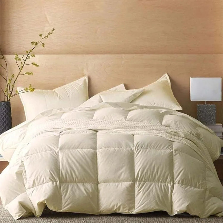 8-Piece Egyptian Cotton Queen Bed in a Bag Set